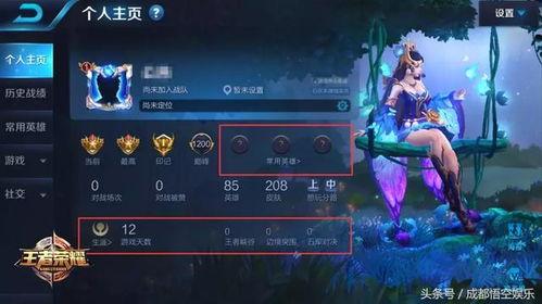 王者超级爆料怎么弄的视频,轻松掌握视频制作技巧