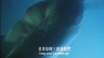 猛鬼屠房中文在线观看